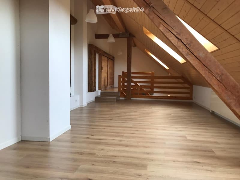 Great loft apartment with garden (2)