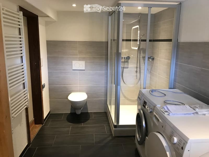 Great loft apartment with garden (3)