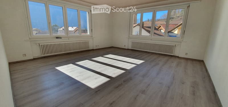 Appartement 4.5 pièces spacieux et lumineux (4)