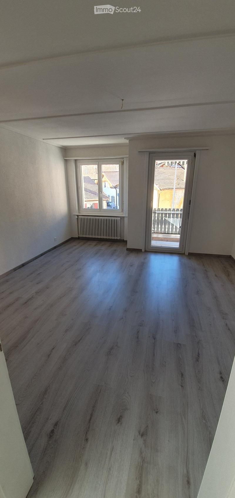 Appartement 4.5 pièces spacieux et lumineux (3)