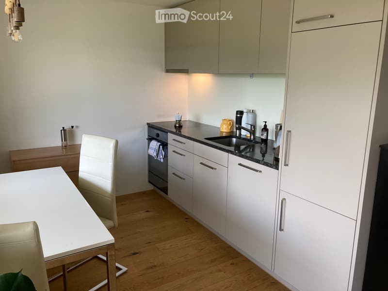 Großzügige BalkonWohnung mit Pilatus Blick (3)