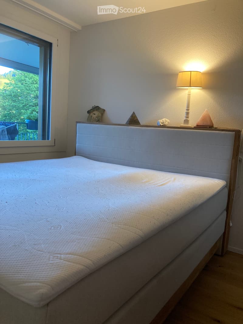 Großzügige BalkonWohnung mit Pilatus Blick (4)