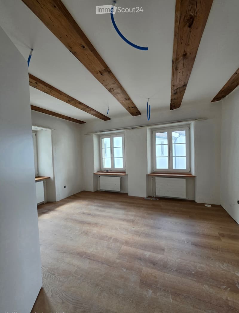 Casa di città ristrutturata di 7,5 locali con terrazza (2)