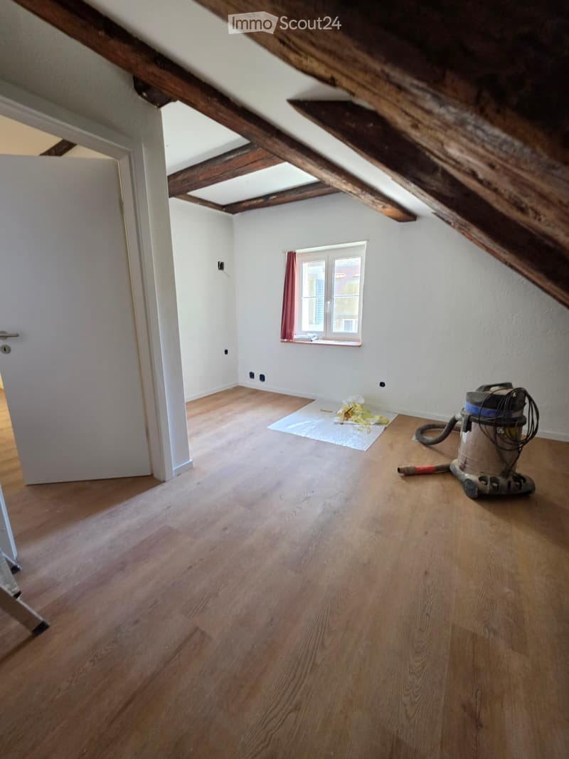 Casa di città ristrutturata di 7,5 locali con terrazza (3)