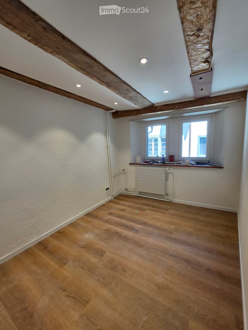 Casa di città ristrutturata di 7,5 locali con terrazza (4)