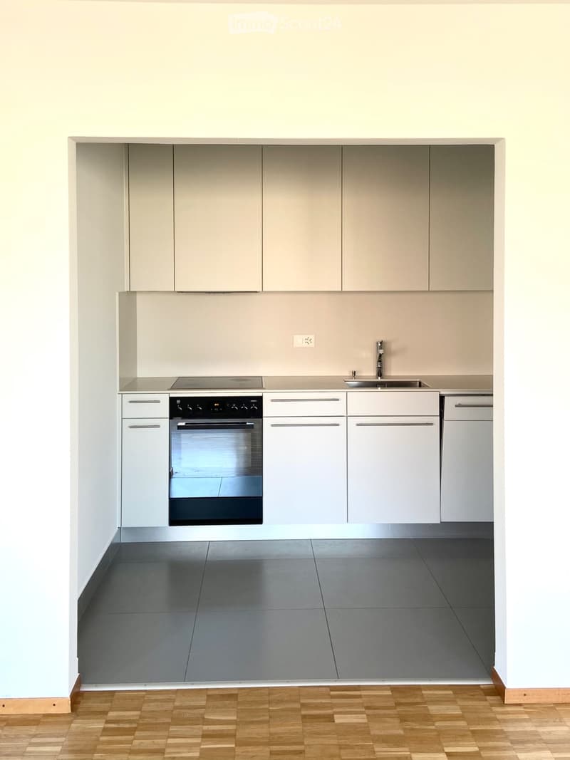 Luminoso appartamento di 2.5 locali con balcone (3)