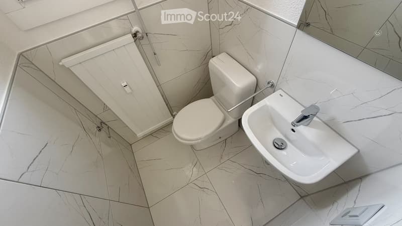 Bis zu 3 Monate kostenlos - 4.5 Zimmer renoviert Coldrerio (10)