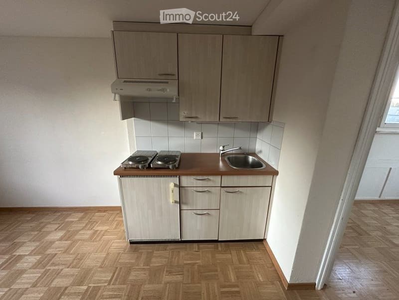 Habitation temporaire jusqu'en avril 2027 - appartement 1,5 pièces lumineux (4)