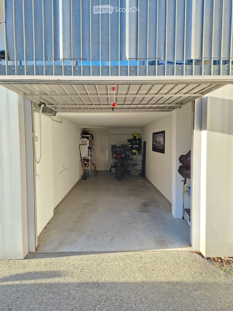 3,5-Zimmer-Wohnung in Sementina mit Garten (4)