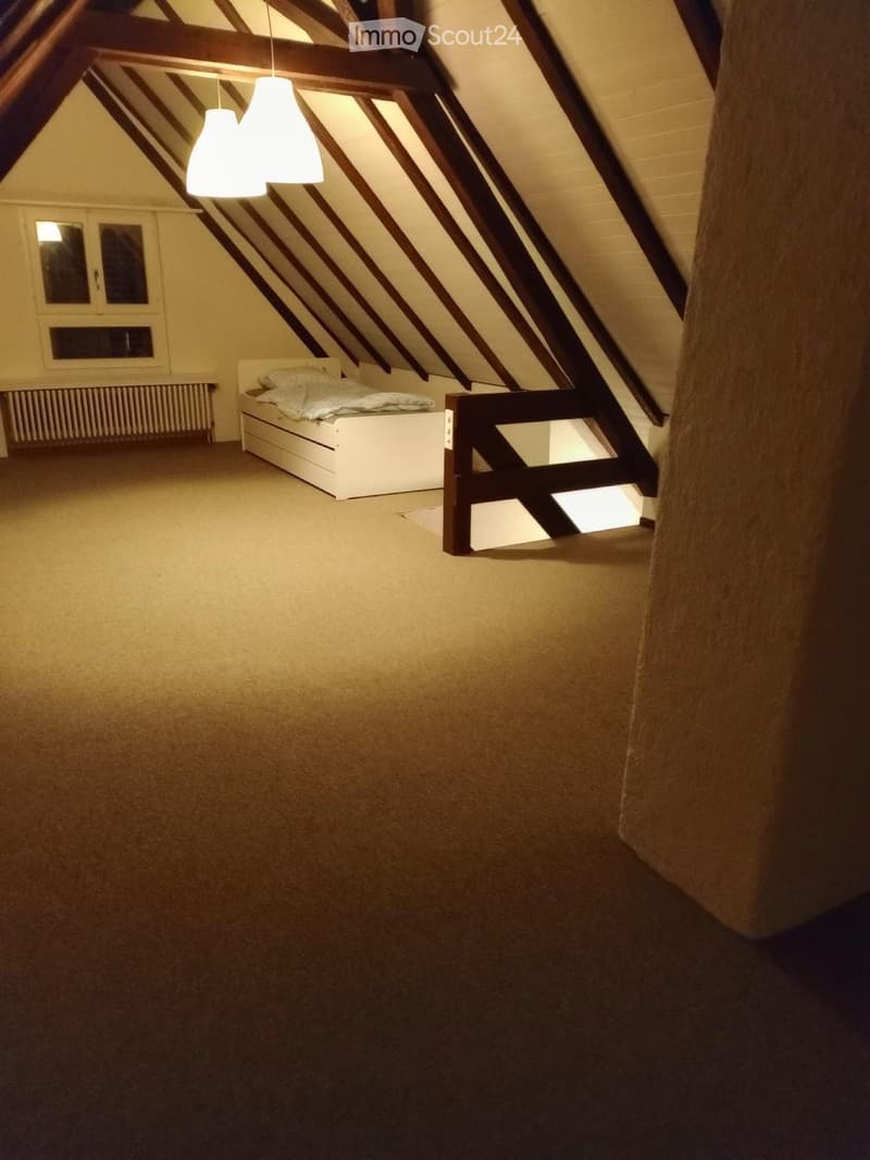 Furnished room in Neuenhof (5)