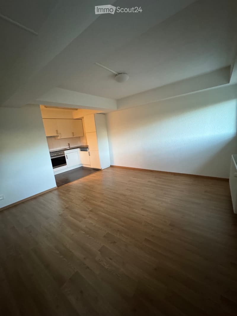 Spacious 2-room apartment (3)