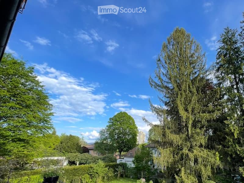 Schönes Südzimmer 20 m2 inkl. Mitbenutzung 5-Zi-Whg, Bern (5)