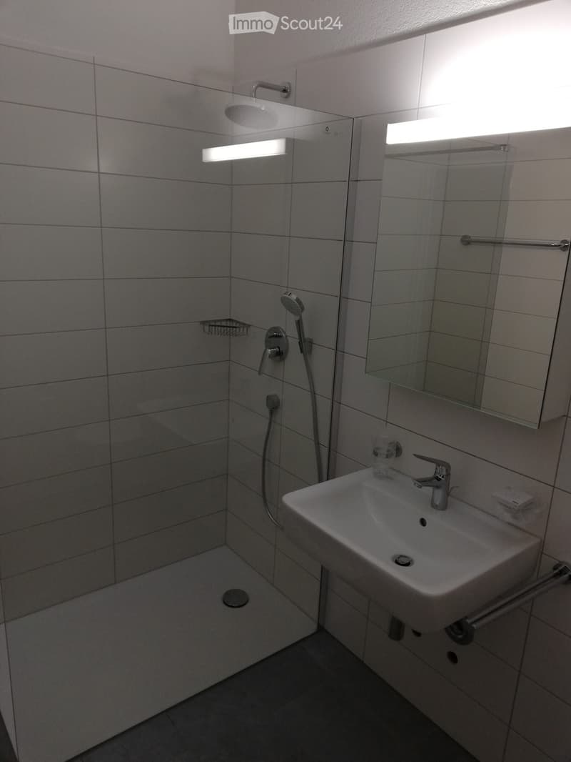 3.5 Zimmer Gartenwohnung (5)