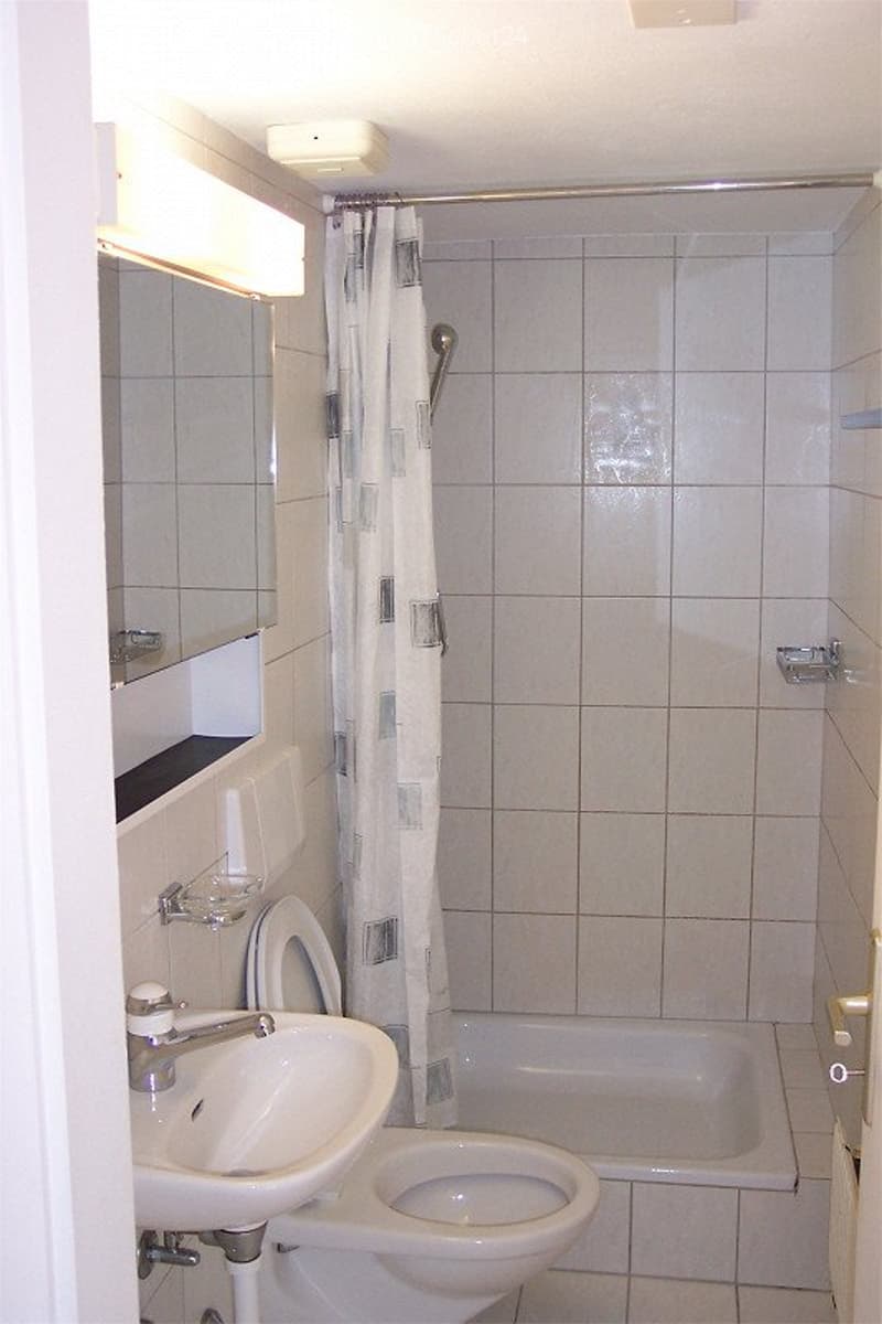 1.5 room apartment partially furnished with large balcony (2)
