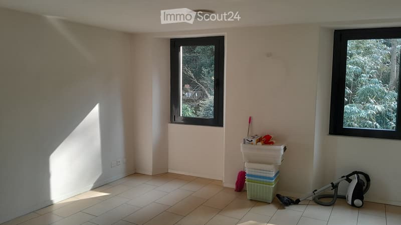 Subentrante per 2,5 Appartamento, TUTTO incluso, Stabio (5)