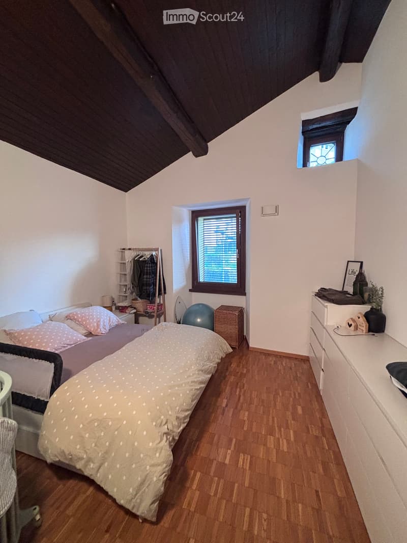 Subentrante 4,5 locali a Bellinzona (Daro) (5)