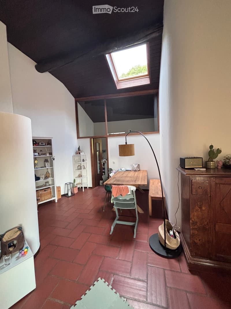 Subentrante 4,5 locali a Bellinzona (Daro) (2)