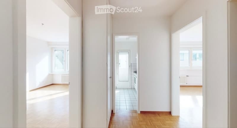 Recherche locataire pour appartement meublé charmant à Rorschach (1)
