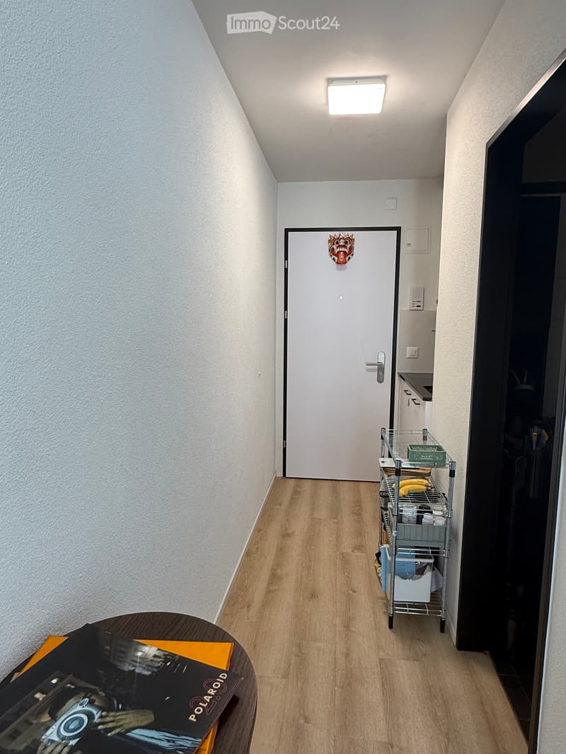 1 Zimmer-Wohnung in Zürich - hell und zentral (2)