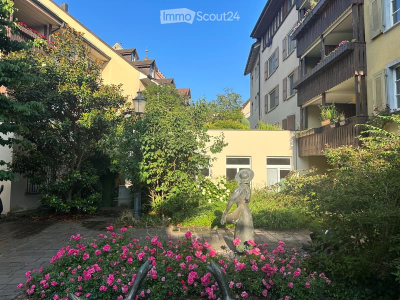 Appartement de 170m2 avec jardin sur le Rhin (3)