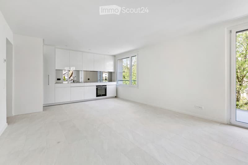 Modern 4-room apartment near Hegibachplatz (2)