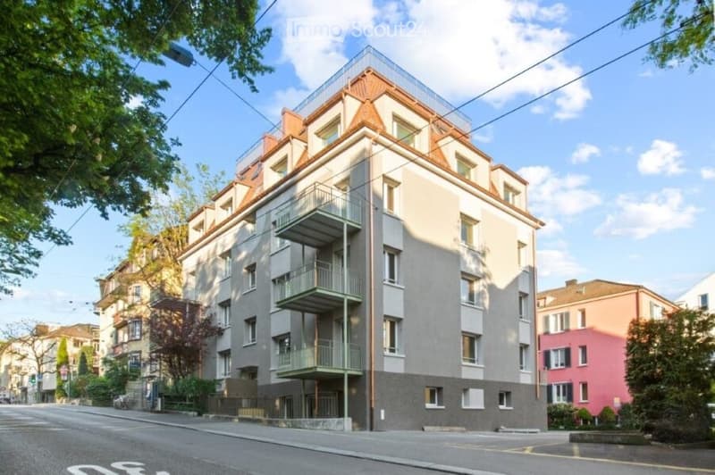 Modern 4-room apartment near Hegibachplatz (1)