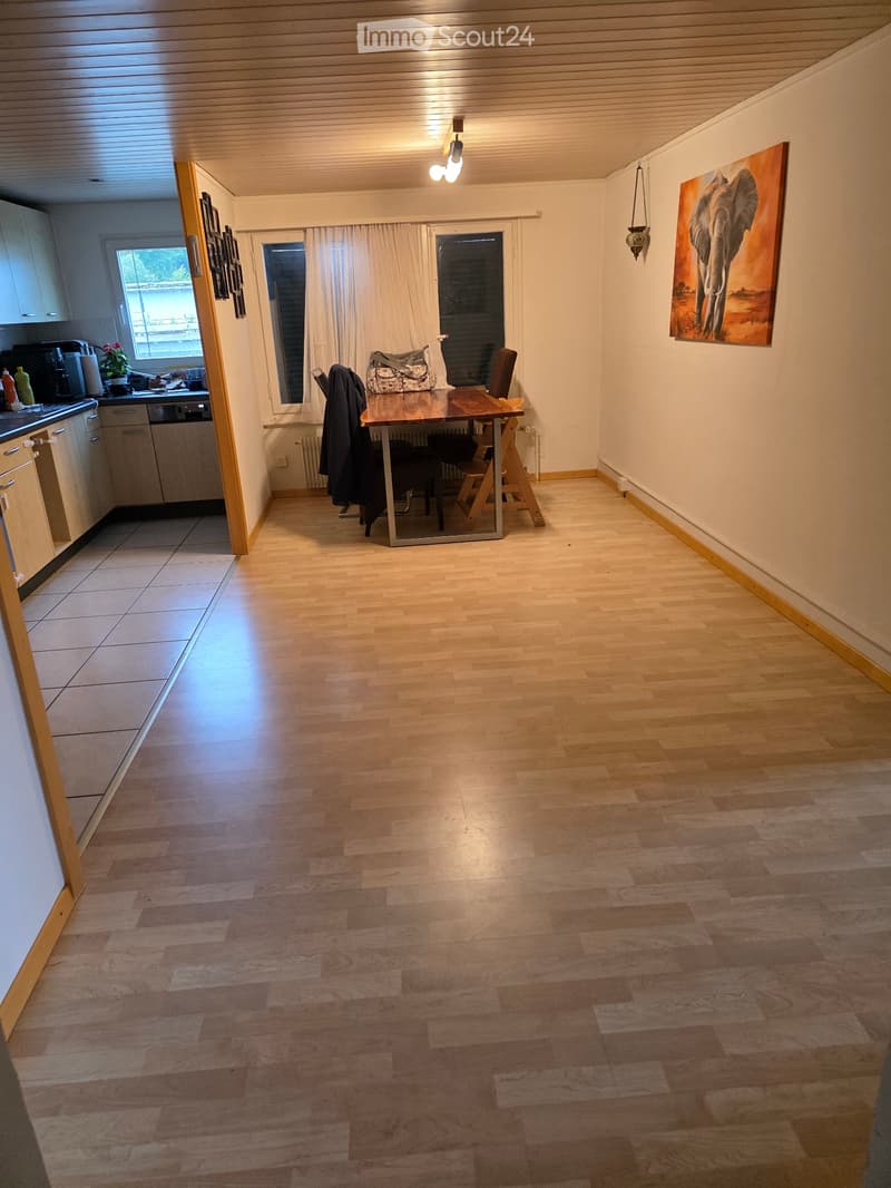 Attic Apartment (4)