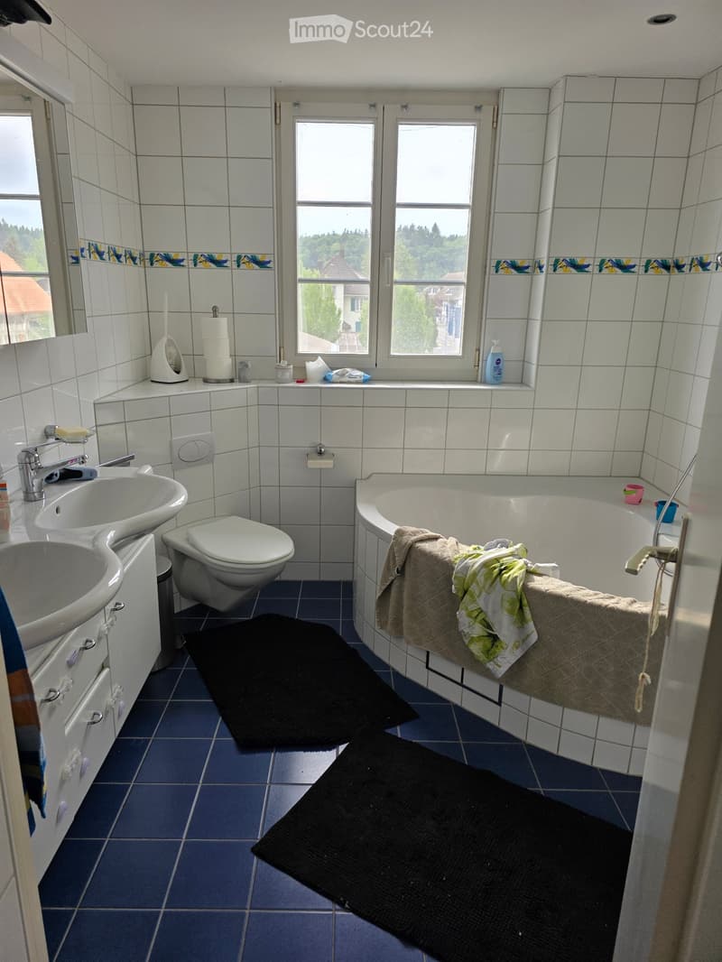 Attic Apartment (3)