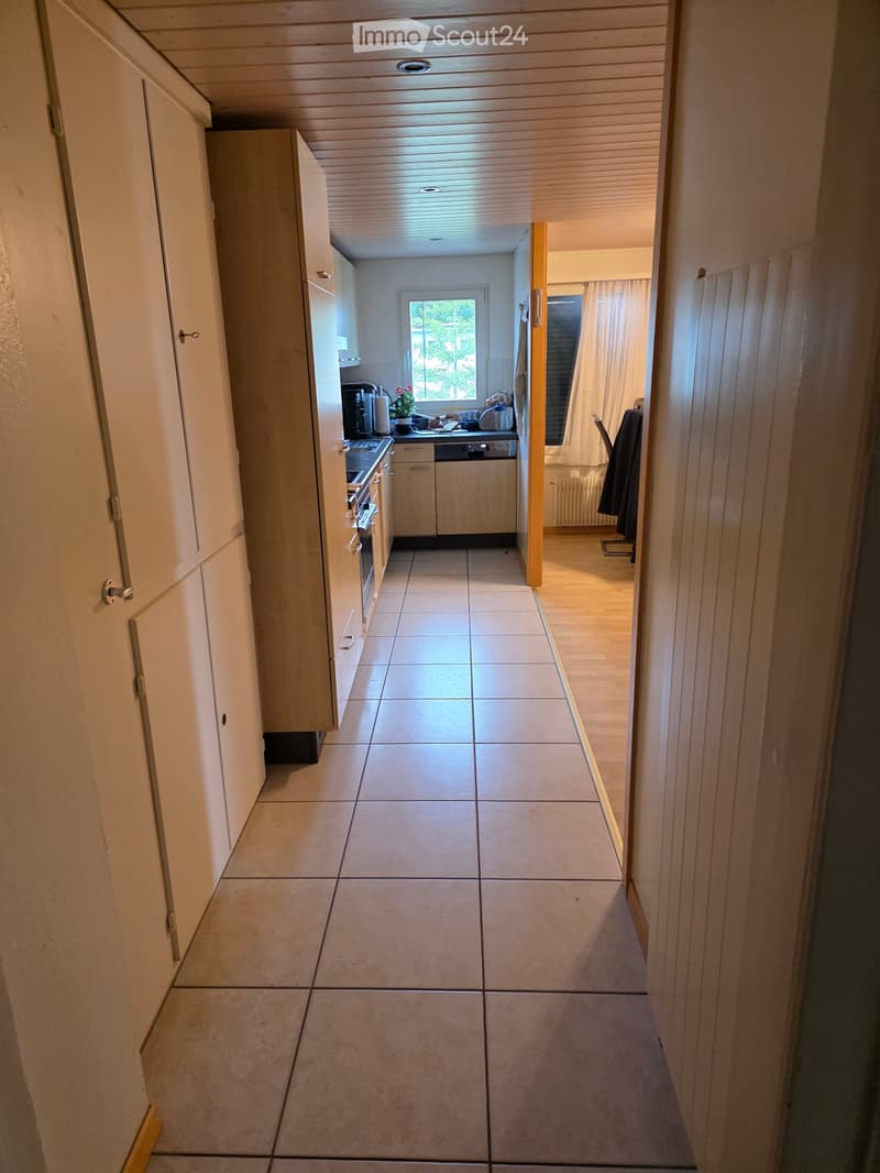 Attic Apartment (5)