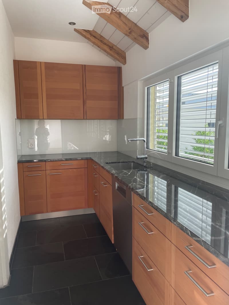 Gebenstorf, 3.5 room apartment - large patio - basement/laundry tower (2)