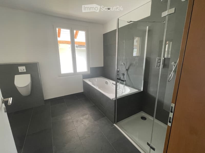 Gebenstorf, 3.5 room apartment - large patio - basement/laundry tower (4)
