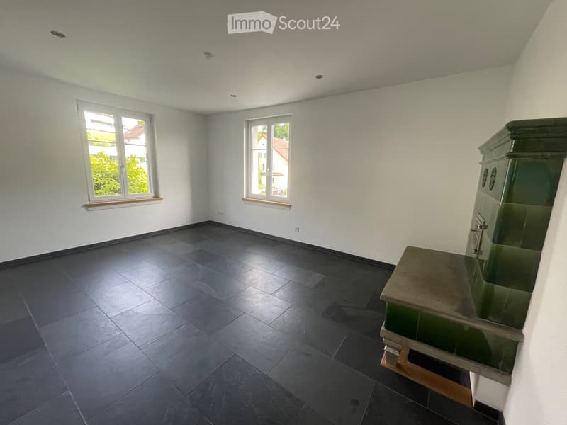 Gebenstorf, 3.5 room apartment - large patio - basement/laundry tower (1)