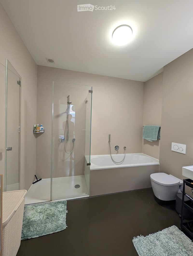 3.5-Zi. Loft-Maisonette Bären-Scheune Langenthal (5)