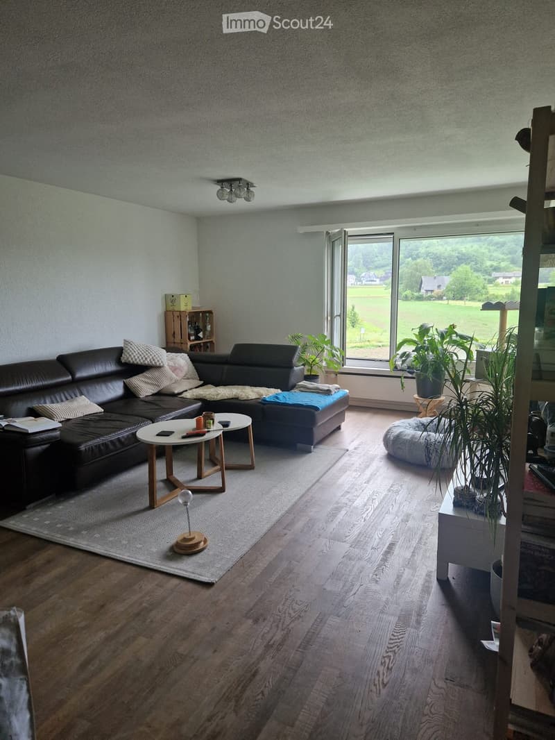Nachmieter/in gesucht per sofort oder nach Absprache (3)