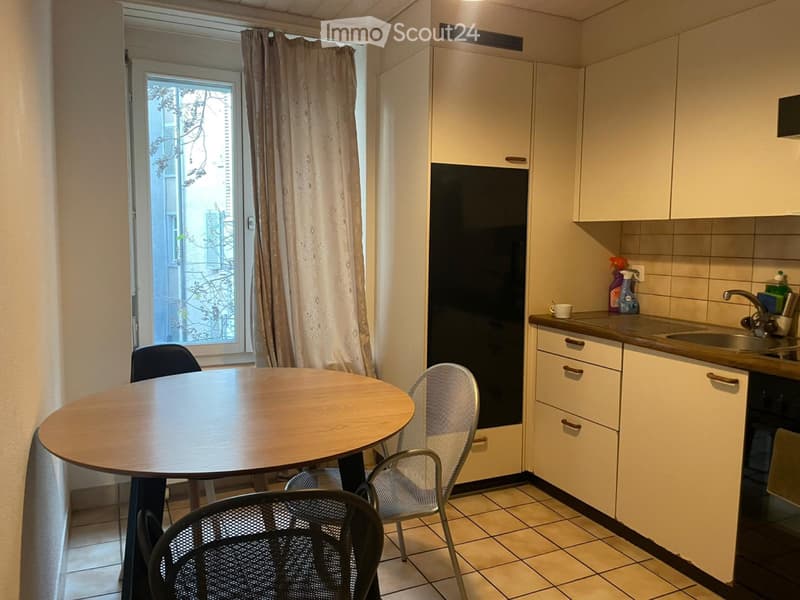Bello appartamento 1.5 locali nel cuore di Zurigo (4)
