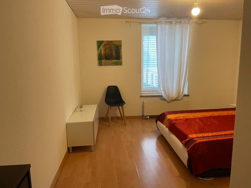 Bello appartamento 1.5 locali nel cuore di Zurigo (1)
