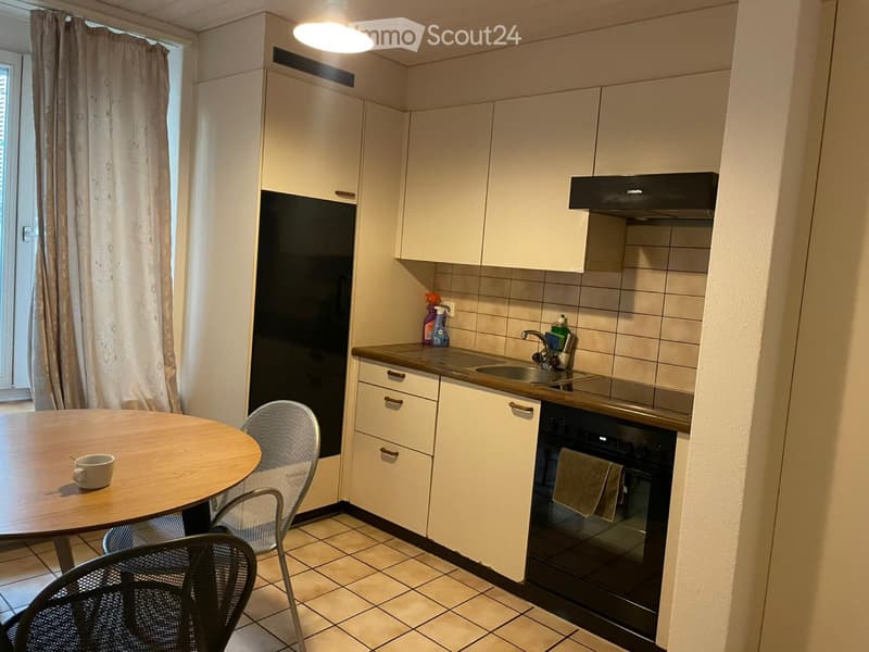 Bello appartamento 1.5 locali nel cuore di Zurigo (3)