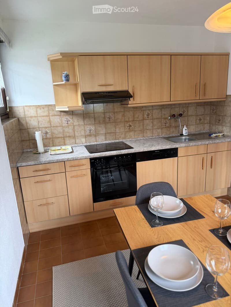 Appartamento 3 locali ammobiliato con giardinoDino (Lugano) (4)