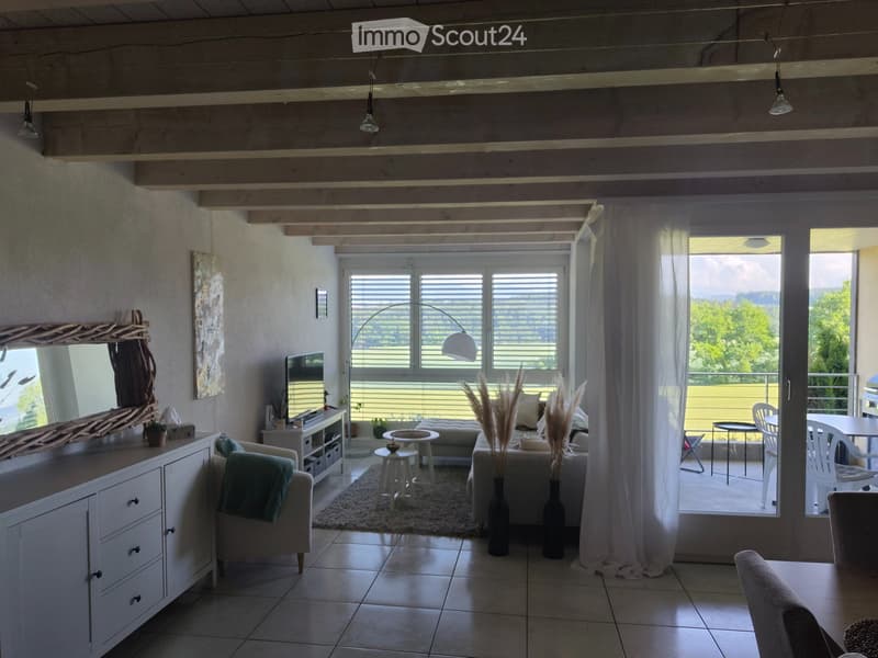 Appartamento duplex 3.5 (2)
