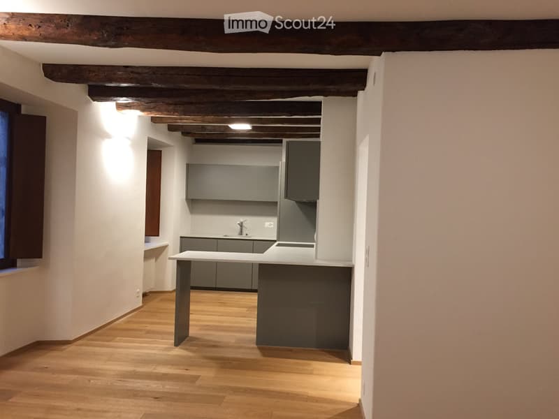 Maison rénovée avec goût à louer à Muzzano (1)
