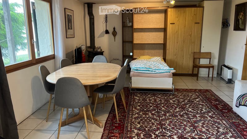 1.5 Holiday apartment directly on the ski slope (3)