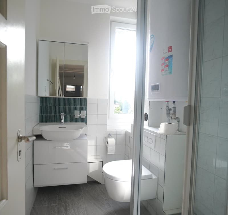 Renovated 3-room apartment, new kitchen, bathroom & underfloor heating (3)