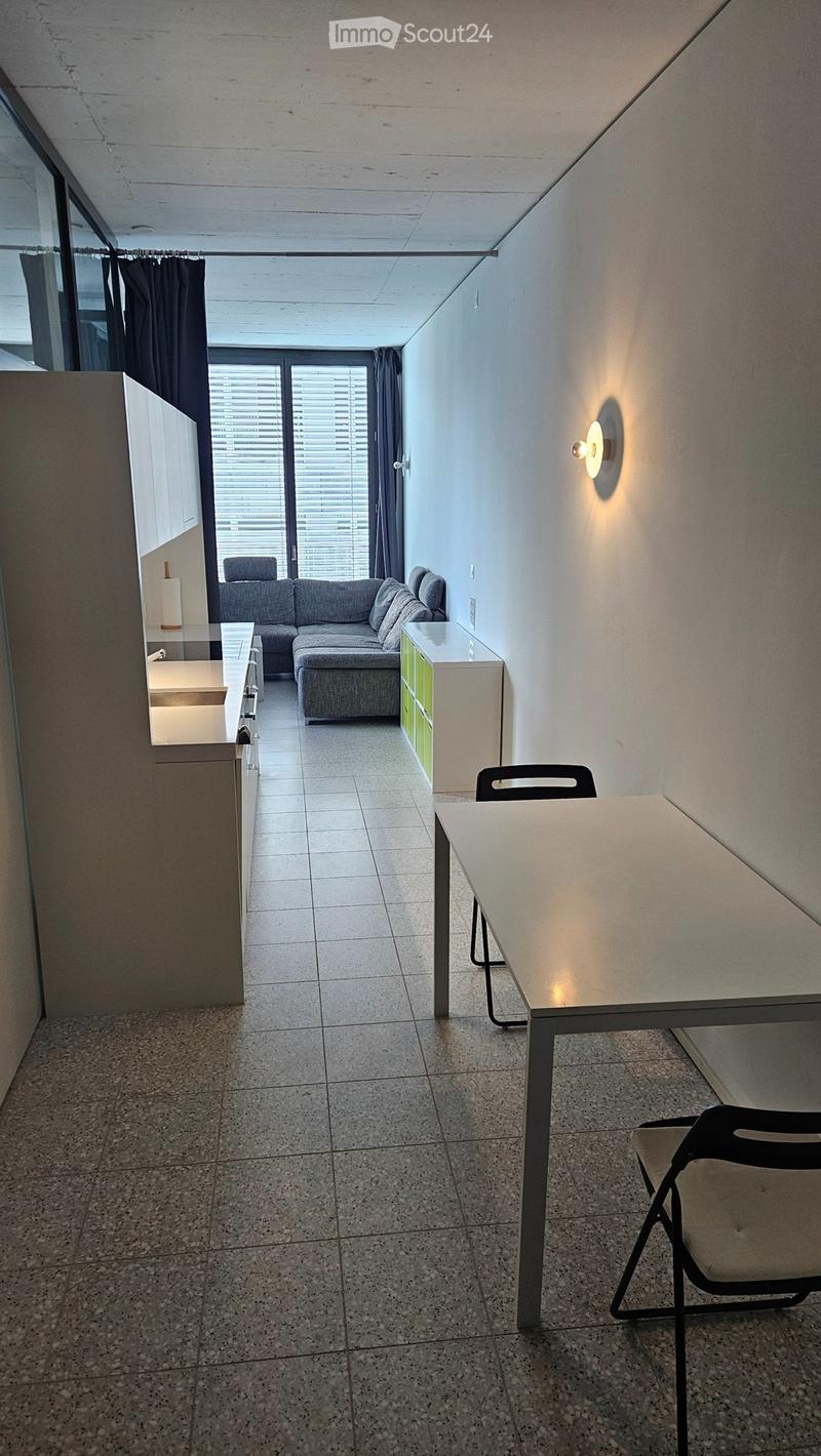 1.5 Room Single Apartment for Limited Time (3)