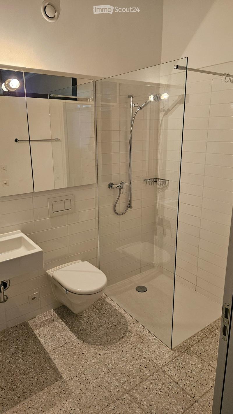1.5 Room Single Apartment for Limited Time (5)