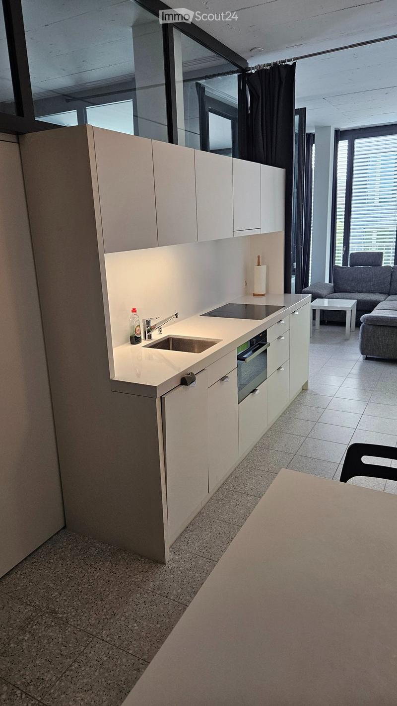 1.5 Room Single Apartment for Limited Time (4)