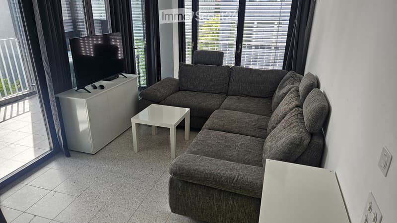 1.5 Room Single Apartment for Limited Time (2)