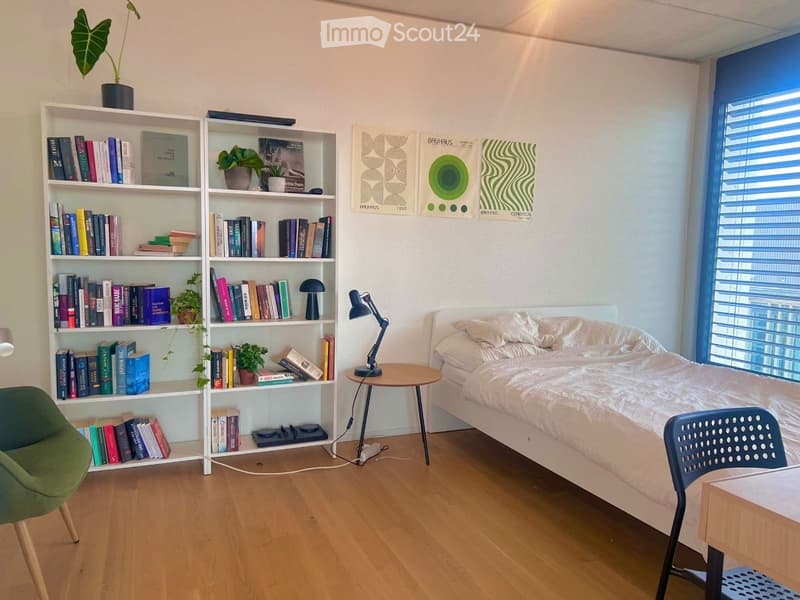 Chambre à louer dans un appartement partagé (2)