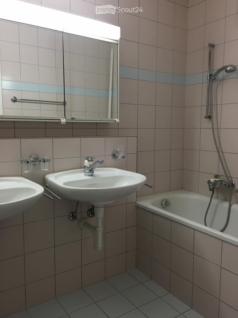 Charmant appartement 3,5 pièces à Füllinsdorf (4)
