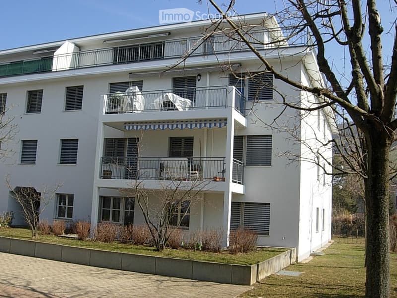 Charmant appartement 3,5 pièces à Füllinsdorf (1)