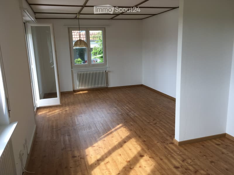 Maison 5 ½ pièces avec pêcher, verger et garage (4)